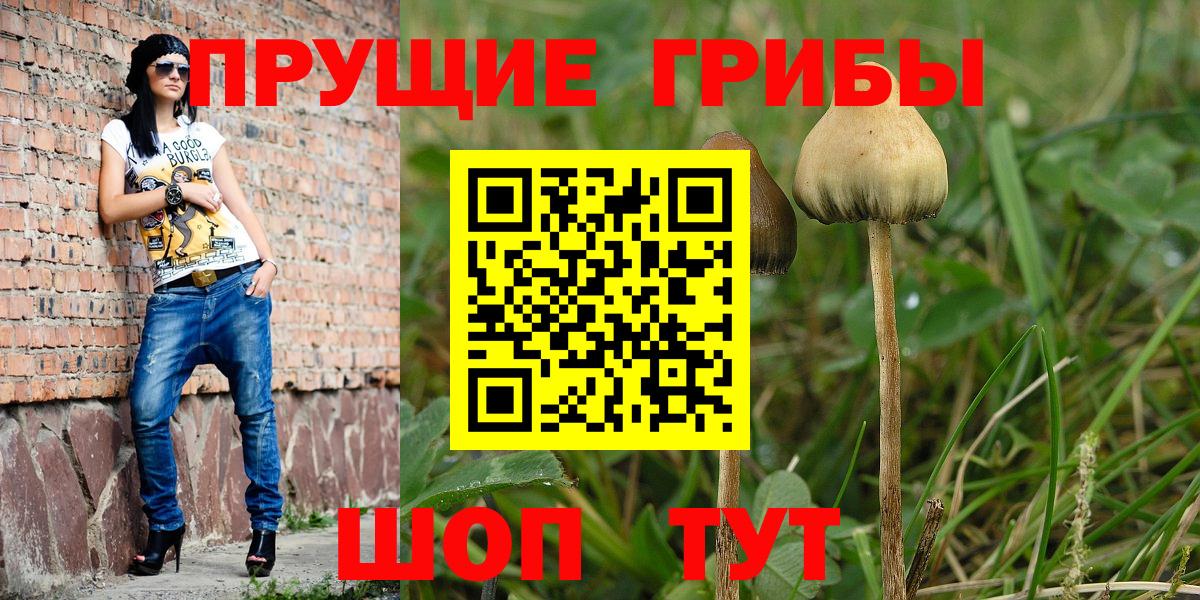 Видное  Галлюциногенные грибы Cubensis  Вход с VPN 
